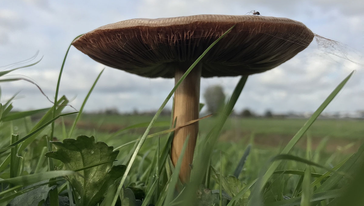 Winnaars natuurfotowedstrijd bekend